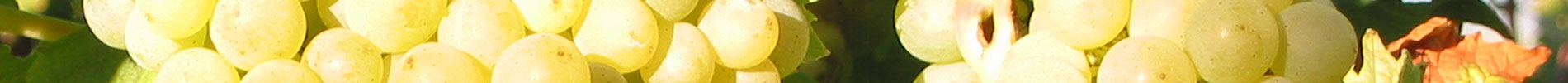 Kategorie Obstbrand Kategorie Obstbrand